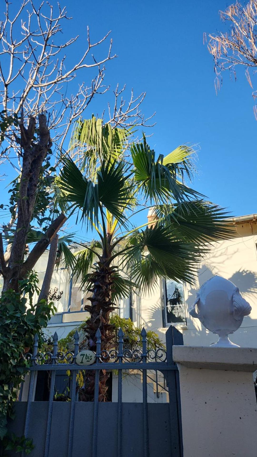 Villa Le Nid Avignon Exterior foto